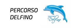 percorso delfino